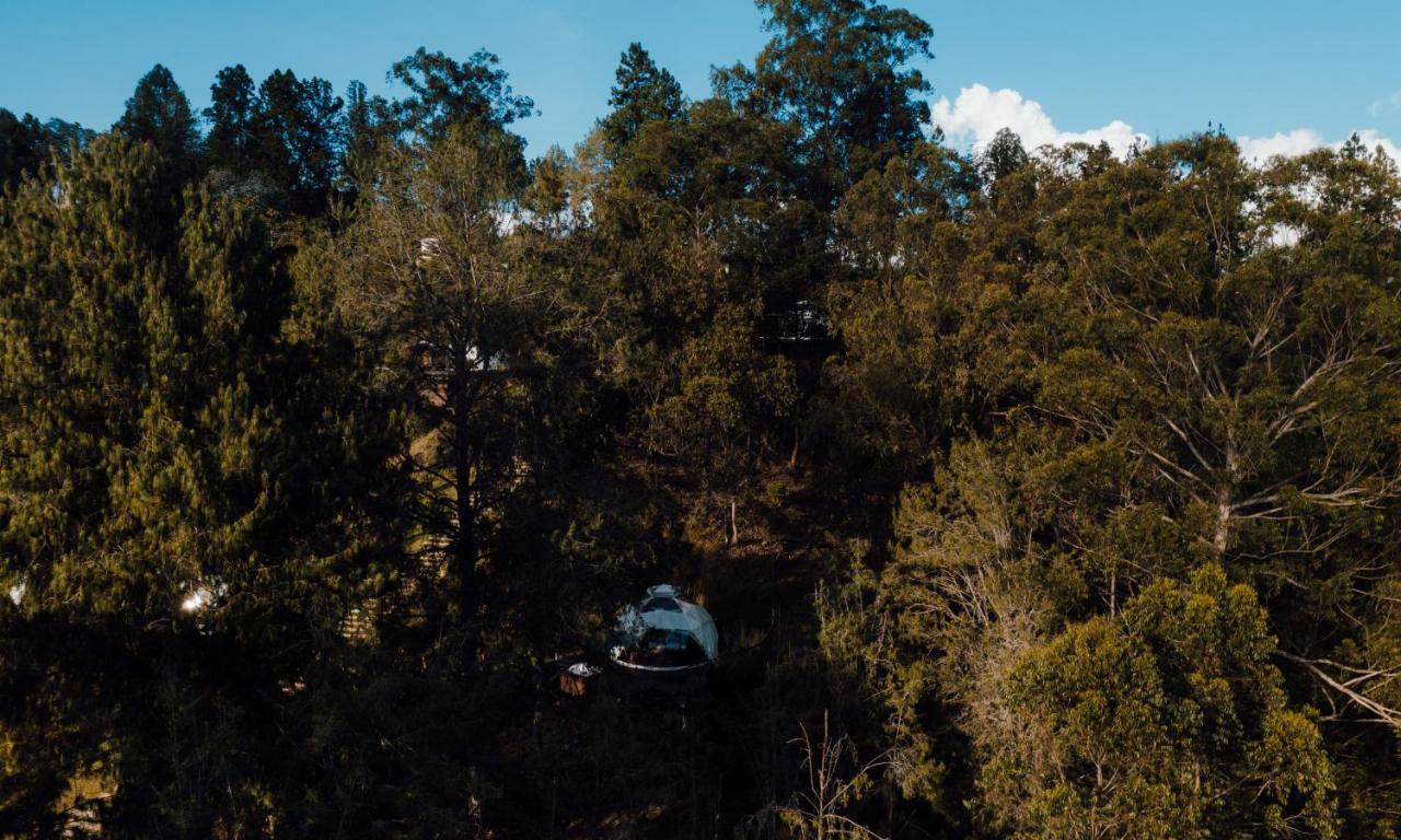 Domus Glamping Guatape Otel Dış mekan fotoğraf