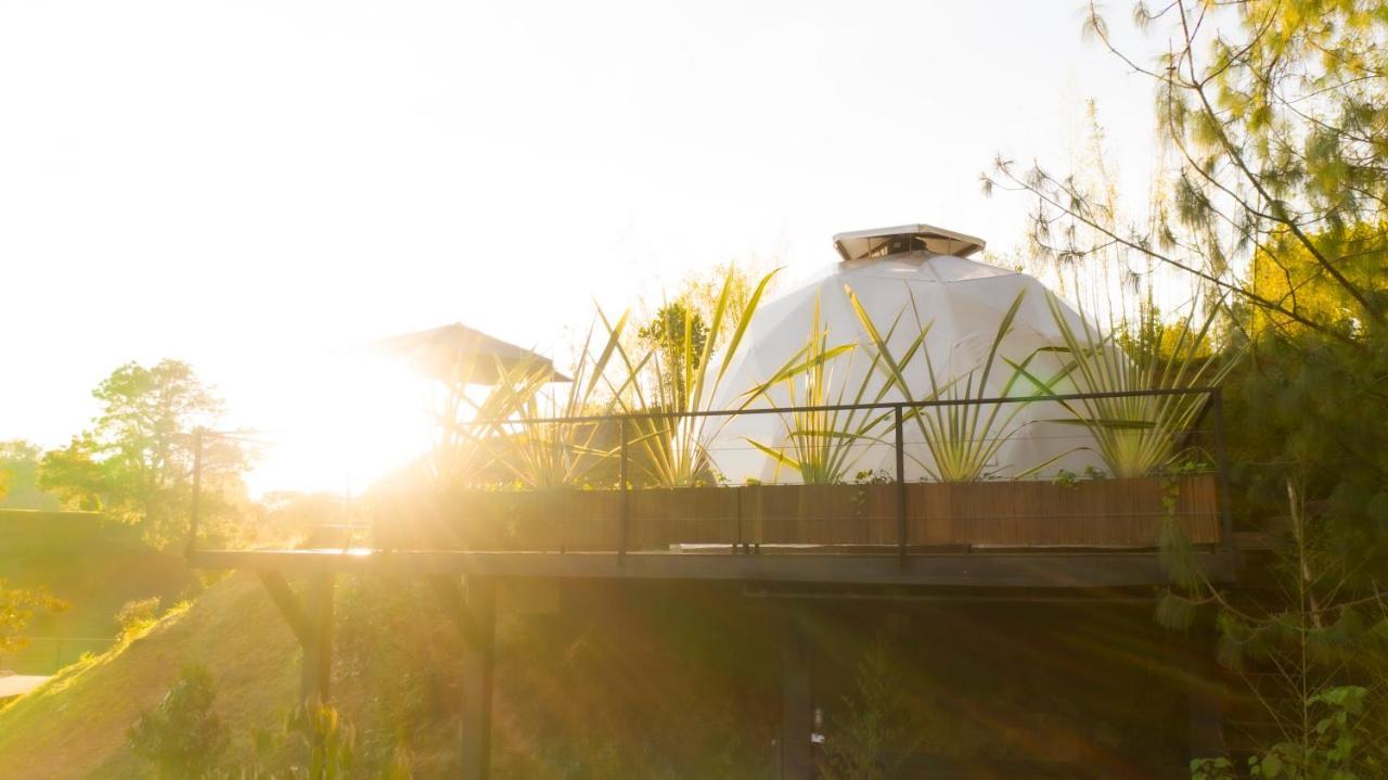 Domus Glamping Guatape Otel Dış mekan fotoğraf